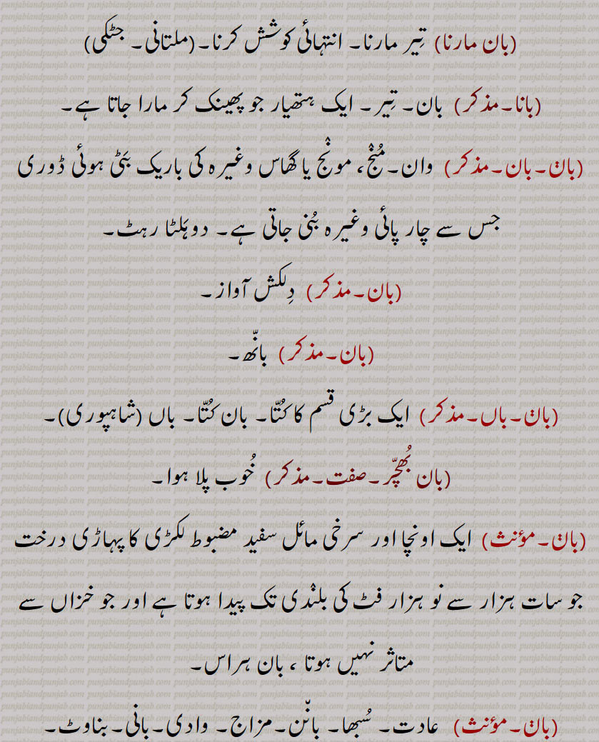 بان, baan,ਬਾਣ,بان, تیر,بان مارنا,بانا ,بان بھچر, بان پینا,بانے, بان کھانا, بان لگنی, بان پرست, بان پھونت, بن دا کھوڑ, بن چِیت, بان سلوچن ,بانا ,واں, باں, باں باں, باں باں کرن, باں بکنا, باں بل ونجنا, باں بِستر,baan pai jaani, baan paini,baan laggni, ban,ਬਾਣ,