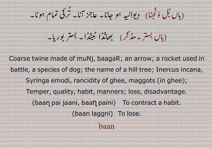 بان, baan,ਬਾਣ,بان, تیر,بان مارنا,بانا ,بان بھچر, بان پینا,بانے, بان کھانا, بان لگنی, بان پرست, بان پھونت, بن دا کھوڑ, بن چِیت, بان سلوچن ,بانا ,واں, باں, باں باں, باں باں کرن, باں بکنا, باں بل ونجنا, باں بِستر,baan pai jaani, baan paini,baan laggni, ban,ਬਾਣ,