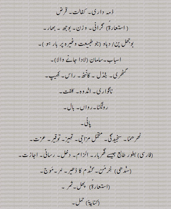 ,baar, ਬਾਰ, بار, فصیل, بال بچہ، بالک, بال, بارگاہ, بوہا, اجاڑ, سنج, ریتلی بنجر زمین, مان, اہمیت,برتن کا منہ, مویشیوں کا کھاجا, پڑ میں رکھِ فصل کا ڈھیر, کھلواڑہ, خرمن, اناج کا ڈھیر , بھار, قرض,توقیر, بنڈل, کھیپ, رواں, ثمر, حمل رسائی,