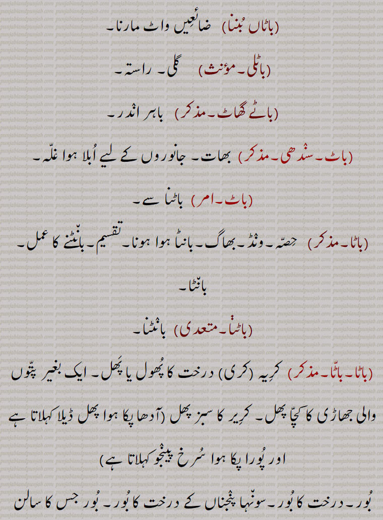   باٹ  baat ,ਬਾਟ, baata,ਬਾਟਾ, baatta, ਬਾਟਾੱ ,baati,ਬਾਟਾ,باٹی  باٹا ,باٹ آونا,باٹ پار/پاڑ,باٹ گھاٹ,باٹ ہونا,باٹا گاہی,باٹے,باٹاں بننا,باٹلی,باٹے گھاٹ,باٹنا,, 