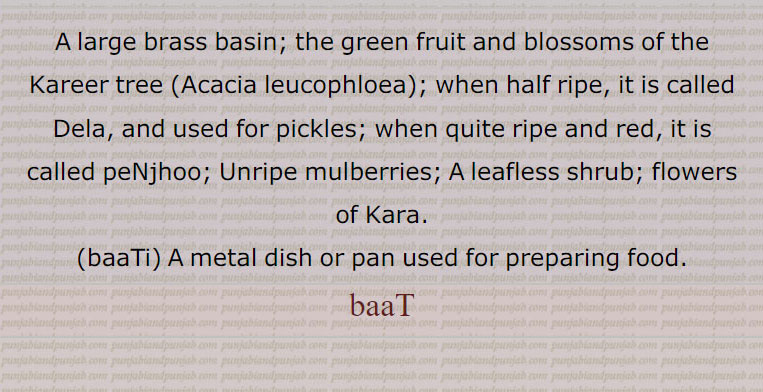   باٹ  baat ,ਬਾਟ, baata,ਬਾਟਾ, baatta, ਬਾਟਾੱ ,baati,ਬਾਟਾ,باٹی  باٹا ,باٹ آونا,باٹ پار/پاڑ,باٹ گھاٹ,باٹ ہونا,باٹا گاہی,باٹے,باٹاں بننا,باٹلی,باٹے گھاٹ,باٹنا,, 