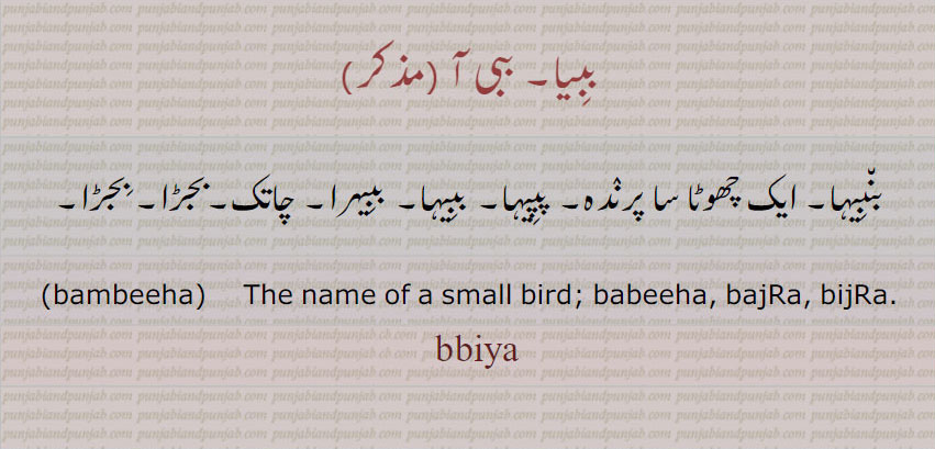ببِیا , ਬਬੀਆ ,babia,  ببیا ,babiya ,ببیا, ببی آ, بنبیہا, پپیہا, ببیہا, ببیہرا, چاتک,بجڑا,بجڑا,  bambeeha, babeeha, bajra, bijra, babiya , ਬਬੀਹਾ, bambeeha, ਬੰਬੀਹਾ,,  
