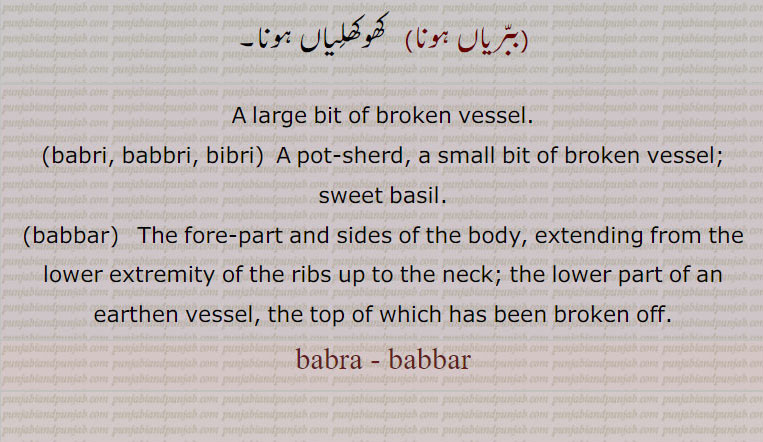  ببرا,ببر اکالی ,ببر بولنا,ببری ,ببریاں ہونا, کھوکھلیاں ہونا, babri, babbri, bibri,babbar, babra, babbar,,babra - babbar, ਬਬੱਰ,  