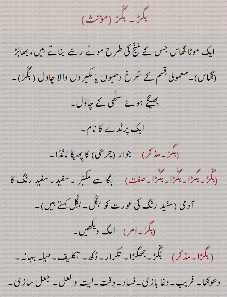 بگڑ,bagar, baggar, ਬਗਡ਼ ,بگڑ,بگڑو, ,بگڑا ,بگڑی,  ਬਗੜ