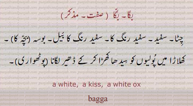 bagga, baga, بگا ,ਬਗਾੱ, ਬੱਗਾ