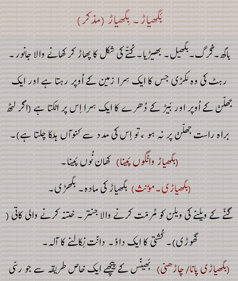 ਬਘਿਆੜ, ਬਘਿਆਡ਼, بگھیاڑ ,baghiaar ,bagghiyaar ,baghiar , باگھ۔گُرگ۔بگھیل۔ بھیڑیا۔کُتّے کی شکل کا پھاڑ کر کھانے والا جانور, بگھیاڑ وانٛگوں پَینا, بگھیاڑی, بگھیاڑی پانا, بگھیاڑی چاڑھنی , wolf, 