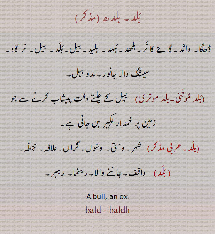  بلَد,bald ,ox,bull, baldh, ਬਲਦ, ਬਲਧ , بلدھ,بلد موتنی,بلد موتری, 