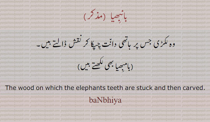   بانبھیا ,بانبھیا ,banbhiya,ਬਾਂਭੀਆ, بامبھیا,  ਬਾਮਭਿਆ