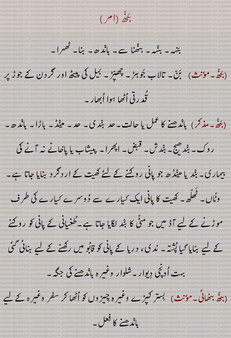 بنھ ,بنہہ, بنہہ, بنھنا سے, باندھ, بنا, ٹھہرا, بن, تالاب جوہڑ, چھپڑ, بیل کی پیٹھ اور گردن کے جوڑ پر قدرتی اٹھا ہوا ابھار, باندھنے کا عمل یا حالت,حد بندی, حد, میںڈ, باڑا, باندھ,روک,بندھیج,بندش, قبض, اپھرا, پیشاب یا پاخانے نہ آنے کی بیماری,بند یا مینڈھ جو پانی روکنے کے لئے کھیت کے اردگرد بنایا جاتا ہے,وٹاں, ٹھلھ, کھیت کا پانی ایک کیارے سے دوسرے کیارے کی طرف موڑنے کے لیے آڈ میں جو مٹی کا بند لگایا جاتا ہے,طغیانی کے پانی کو روکنے کے لیے بنایا گیا پشتہ, ندی، دریا کے پانی کو قابو میں رکھنے کے لیے بنائی گئی بہت اونچی دیوار,شلوار وغیرہ باندھنے کی جگہ,بنھ بنھائی,بنھ بنتر,بنھ بنھنا,بنھ بہانا,بنھ پینا,بنھ تیلیاں,بنھ بجھنا,بنھ ٹٹنا,بنھ ڈھلے ہونا,بنھ بنھیج,بنھ رنھ کے,بنھ سب,بنھ کڈھنا,بنھ مارنا,بنھ لاون,بنھائی,بنھائی,بنھانا,بنھن,بنھوٹ,بنھوٹ بنانا,بنھوٹی,بنھوری,بنھی,بنھی,بنھی رنھی کے,بنھاں,بنھنا,بانھنوں بنھنا,بنھنی,بنھواں,بنھوڑا,بنھوری,بنھوگیری,بنھیا رنھیا,بنھیڑ,بنھیڑ,بنھیلن,بنھیلن,بنھیلا,بنھیج,بنھیج,بنھیوا,بنھیون, بنھاونا, Dam, barrage, dyke, embankment;obstruction, clog, stoppage, block, a visceral disease causing intestinal obstruction,volvulus, hump ,bannhan,bannhana, bannhapaina,bannh banauna, bannh marna, bannh launa, ਬੰਨ੍ਹ, bannhan,bannhauna,bannhna,bannh, ਬੰਨ੍ਹੱਣ, ਬੰਨ੍ਹਣਾ, ਬੰਨ੍ਹਪੈਣਾ, ਬੰਨ੍ਹਬਣਾਉਣਾ, ਬੰਨ੍ਹਮਾਰਨਾ, ਬੰਨ੍ਹਲਾਉਣਾ, ਬੰਨ੍ਹਣ, ਬੰਧਨ, ਬੰਨ੍ਹਾਉਣਾ, ਬਨਵ੍ਹਾਉਣਾ, ਬੰਨ੍ਹ, ਬੰਨ੍ਹ,ਬੰਨ੍ਹਣਾ ,