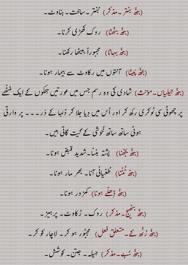 بنھ ,بنہہ, بنہہ, بنھنا سے, باندھ, بنا, ٹھہرا, بن, تالاب جوہڑ, چھپڑ, بیل کی پیٹھ اور گردن کے جوڑ پر قدرتی اٹھا ہوا ابھار, باندھنے کا عمل یا حالت,حد بندی, حد, میںڈ, باڑا, باندھ,روک,بندھیج,بندش, قبض, اپھرا, پیشاب یا پاخانے نہ آنے کی بیماری,بند یا مینڈھ جو پانی روکنے کے لئے کھیت کے اردگرد بنایا جاتا ہے,وٹاں, ٹھلھ, کھیت کا پانی ایک کیارے سے دوسرے کیارے کی طرف موڑنے کے لیے آڈ میں جو مٹی کا بند لگایا جاتا ہے,طغیانی کے پانی کو روکنے کے لیے بنایا گیا پشتہ, ندی، دریا کے پانی کو قابو میں رکھنے کے لیے بنائی گئی بہت اونچی دیوار,شلوار وغیرہ باندھنے کی جگہ,بنھ بنھائی,بنھ بنتر,بنھ بنھنا,بنھ بہانا,بنھ پینا,بنھ تیلیاں,بنھ بجھنا,بنھ ٹٹنا,بنھ ڈھلے ہونا,بنھ بنھیج,بنھ رنھ کے,بنھ سب,بنھ کڈھنا,بنھ مارنا,بنھ لاون,بنھائی,بنھائی,بنھانا,بنھن,بنھوٹ,بنھوٹ بنانا,بنھوٹی,بنھوری,بنھی,بنھی,بنھی رنھی کے,بنھاں,بنھنا,بانھنوں بنھنا,بنھنی,بنھواں,بنھوڑا,بنھوری,بنھوگیری,بنھیا رنھیا,بنھیڑ,بنھیڑ,بنھیلن,بنھیلن,بنھیلا,بنھیج,بنھیج,بنھیوا,بنھیون, بنھاونا, Dam, barrage, dyke, embankment;obstruction, clog, stoppage, block, a visceral disease causing intestinal obstruction,volvulus, hump ,bannhan,bannhana, bannhapaina,bannh banauna, bannh marna, bannh launa, ਬੰਨ੍ਹ, bannhan,bannhauna,bannhna,bannh, ਬੰਨ੍ਹੱਣ, ਬੰਨ੍ਹਣਾ, ਬੰਨ੍ਹਪੈਣਾ, ਬੰਨ੍ਹਬਣਾਉਣਾ, ਬੰਨ੍ਹਮਾਰਨਾ, ਬੰਨ੍ਹਲਾਉਣਾ, ਬੰਨ੍ਹਣ, ਬੰਧਨ, ਬੰਨ੍ਹਾਉਣਾ, ਬਨਵ੍ਹਾਉਣਾ, ਬੰਨ੍ਹ, ਬੰਨ੍ਹ,ਬੰਨ੍ਹਣਾ ,