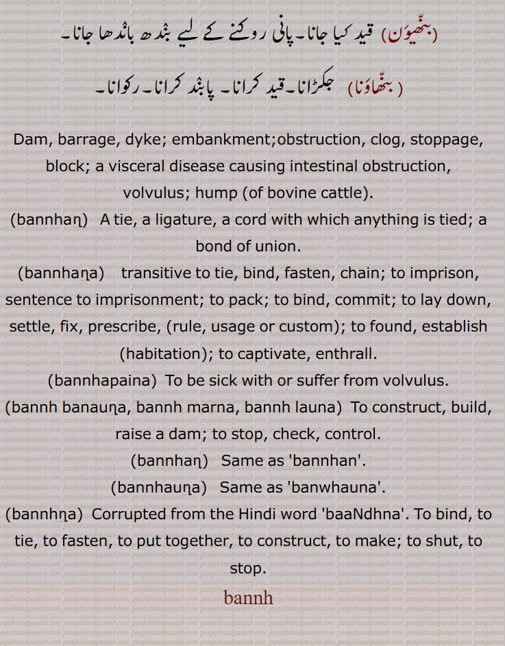 بنھ ,بنہہ, بنہہ, بنھنا سے, باندھ, بنا, ٹھہرا, بن, تالاب جوہڑ, چھپڑ, بیل کی پیٹھ اور گردن کے جوڑ پر قدرتی اٹھا ہوا ابھار, باندھنے کا عمل یا حالت,حد بندی, حد, میںڈ, باڑا, باندھ,روک,بندھیج,بندش, قبض, اپھرا, پیشاب یا پاخانے نہ آنے کی بیماری,بند یا مینڈھ جو پانی روکنے کے لئے کھیت کے اردگرد بنایا جاتا ہے,وٹاں, ٹھلھ, کھیت کا پانی ایک کیارے سے دوسرے کیارے کی طرف موڑنے کے لیے آڈ میں جو مٹی کا بند لگایا جاتا ہے,طغیانی کے پانی کو روکنے کے لیے بنایا گیا پشتہ, ندی، دریا کے پانی کو قابو میں رکھنے کے لیے بنائی گئی بہت اونچی دیوار,شلوار وغیرہ باندھنے کی جگہ,بنھ بنھائی,بنھ بنتر,بنھ بنھنا,بنھ بہانا,بنھ پینا,بنھ تیلیاں,بنھ بجھنا,بنھ ٹٹنا,بنھ ڈھلے ہونا,بنھ بنھیج,بنھ رنھ کے,بنھ سب,بنھ کڈھنا,بنھ مارنا,بنھ لاون,بنھائی,بنھائی,بنھانا,بنھن,بنھوٹ,بنھوٹ بنانا,بنھوٹی,بنھوری,بنھی,بنھی,بنھی رنھی کے,بنھاں,بنھنا,بانھنوں بنھنا,بنھنی,بنھواں,بنھوڑا,بنھوری,بنھوگیری,بنھیا رنھیا,بنھیڑ,بنھیڑ,بنھیلن,بنھیلن,بنھیلا,بنھیج,بنھیج,بنھیوا,بنھیون, بنھاونا, Dam, barrage, dyke, embankment;obstruction, clog, stoppage, block, a visceral disease causing intestinal obstruction,volvulus, hump ,bannhan,bannhana, bannhapaina,bannh banauna, bannh marna, bannh launa, ਬੰਨ੍ਹ, bannhan,bannhauna,bannhna,bannh, ਬੰਨ੍ਹੱਣ, ਬੰਨ੍ਹਣਾ, ਬੰਨ੍ਹਪੈਣਾ, ਬੰਨ੍ਹਬਣਾਉਣਾ, ਬੰਨ੍ਹਮਾਰਨਾ, ਬੰਨ੍ਹਲਾਉਣਾ, ਬੰਨ੍ਹਣ, ਬੰਧਨ, ਬੰਨ੍ਹਾਉਣਾ, ਬਨਵ੍ਹਾਉਣਾ, ਬੰਨ੍ਹ, ਬੰਨ੍ਹ,ਬੰਨ੍ਹਣਾ ,