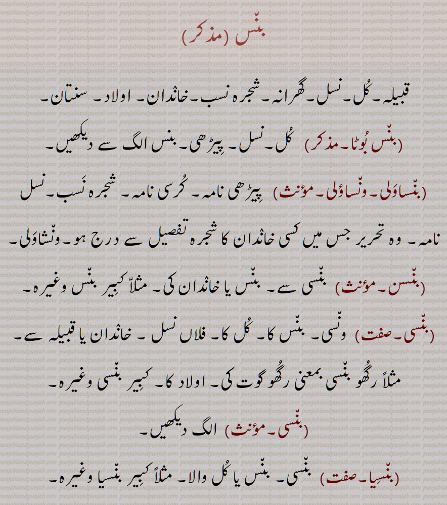     بنس, قبیلہ,کل,نسل,گھرانہ,شجرہ نسب,خاندان, اولاد, سنتان,,  Tribe, clan, dynasty; lineage, descent, line, family, offspring, a descendant, genealogy, pedigree, stock; race, line, lineage, house, bansan,, baNsi, baNsaawali, waNsaawali, waNsaauli, bans,wansauli, wansawali , bansan,   , bansi,  ਬੰਸ, ਬੰਸ ਬੂਟਾ, ਬਨਸਾਓਲੀ, ਬੰਸਾਵਲੀ,ਵਨਸਾਓਲੀ, ਬਿਨਸਨ,, ਬੰਸੀ, ਬੰਸੀਆ, بنس بوٹا, بنساؤلی, بنساولی,ونساؤلی, بنسن,, بنسی, بنسیا