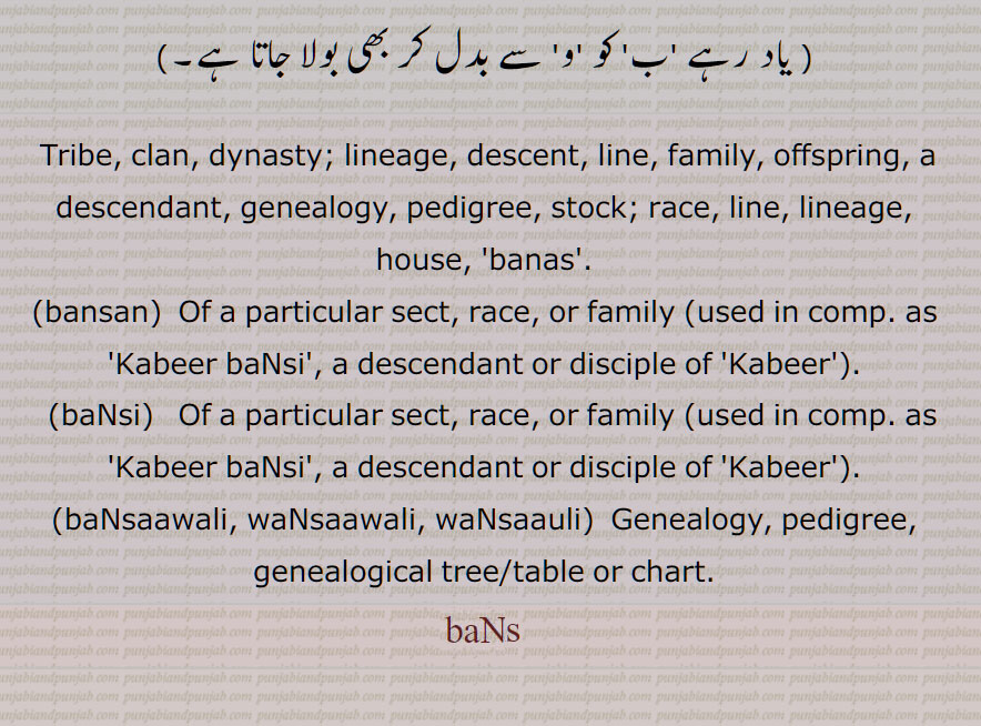     بنس, قبیلہ,کل,نسل,گھرانہ,شجرہ نسب,خاندان, اولاد, سنتان,,  Tribe, clan, dynasty; lineage, descent, line, family, offspring, a descendant, genealogy, pedigree, stock; race, line, lineage, house, bansan,, baNsi, baNsaawali, waNsaawali, waNsaauli, bans,wansauli, wansawali , bansan,   , bansi,  ਬੰਸ, ਬੰਸ ਬੂਟਾ, ਬਨਸਾਓਲੀ, ਬੰਸਾਵਲੀ,ਵਨਸਾਓਲੀ, ਬਿਨਸਨ,, ਬੰਸੀ, ਬੰਸੀਆ, بنس بوٹا, بنساؤلی, بنساولی,ونساؤلی, بنسن,, بنسی, بنسیا