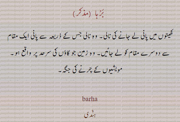 ਬਰਹਾ, barha, برہا  مویشیوں کے چرنے کی جگہ 