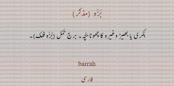 ਬਰੱਹਾ, برہ، برج حمل ، بکری بھیڑ کا بچہ