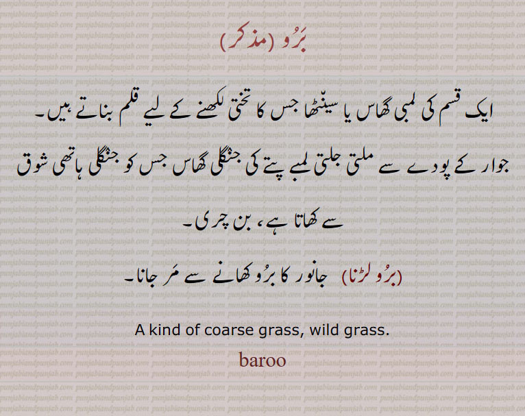  برو, برو لڑنا ,baroo , ਬਰੂ 