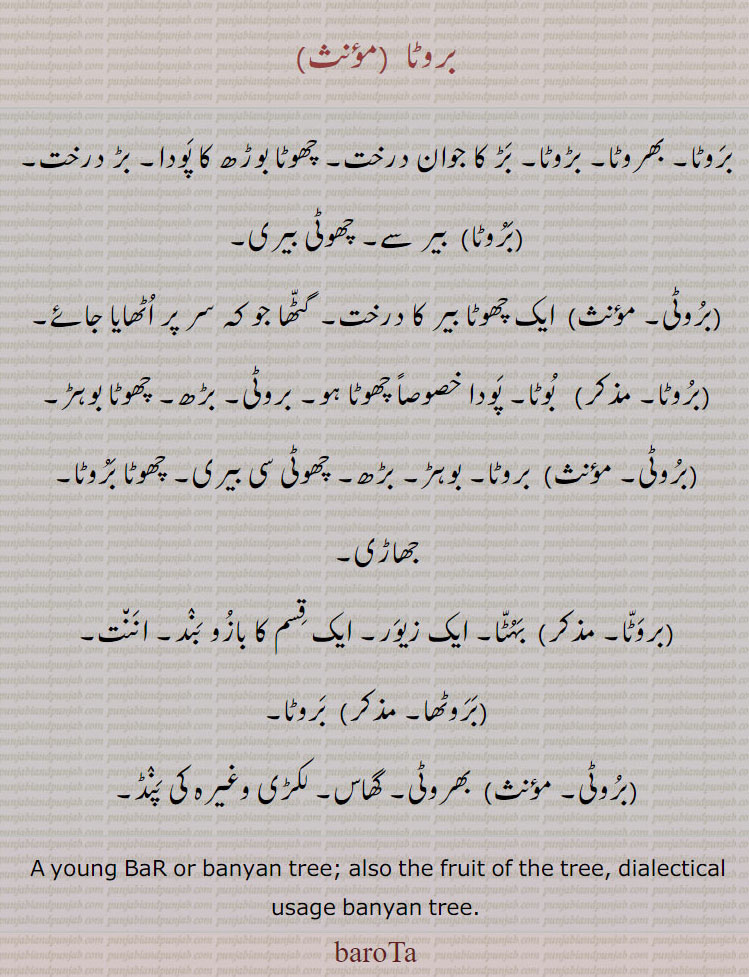 بھربٹا,بوٹا,بھروٹا,بھربھٹا, بھربھٹا, بھمن, بہٹا, بوھٹا, ابرو,بِھربَھٹّا ,بھروَٹّا,بِھربھٹّا,   بھڑوَٹّا, بَھوں,بِھربَھٹی,   ابرُو, پردہ, دربان, پہرہ دار, ڈیوڑھی کا نگہبان, چپراسی, حاجِب,Eyebrows, guard,bhirbhaTTa, ,bhawatta,bharwatta,ਭਵਟਾੱ , ਭਰਵੱਟਾ, بروٹا, barwatta, 