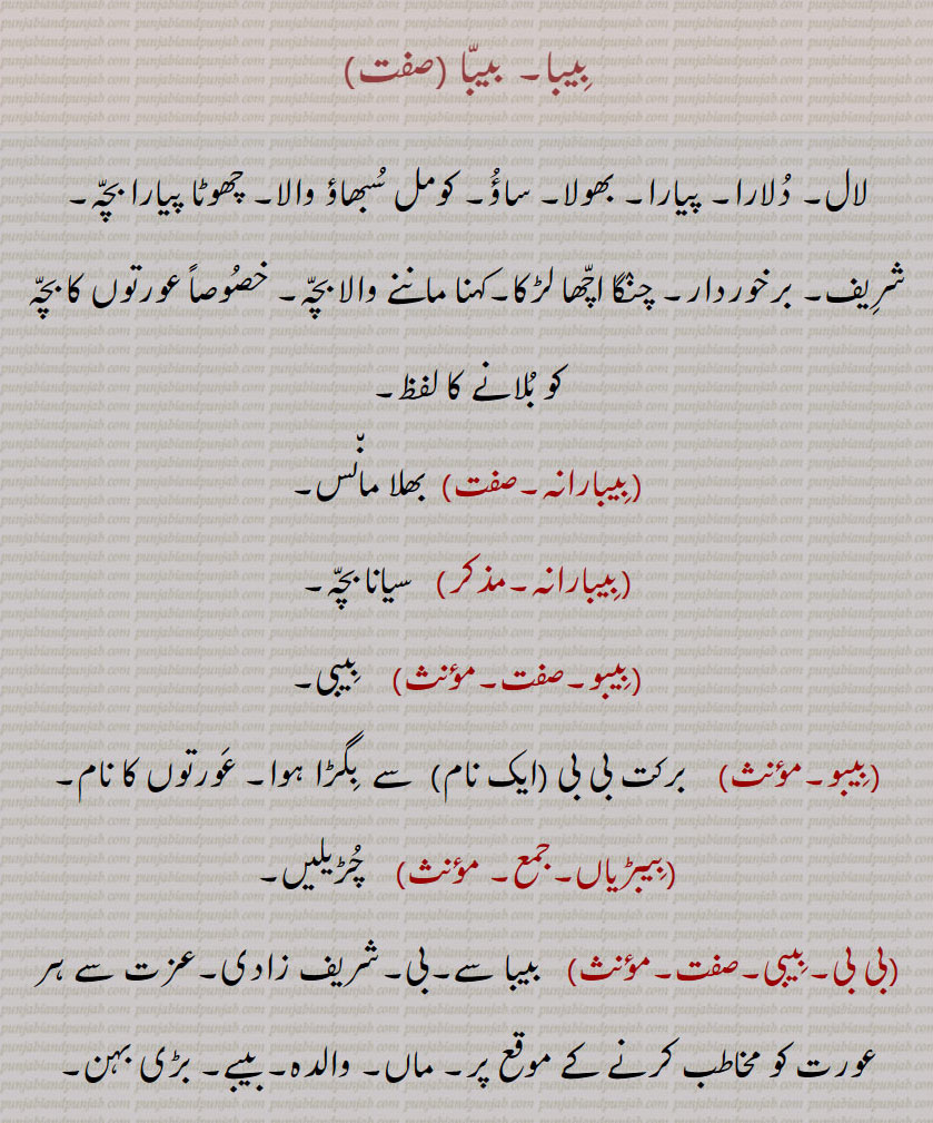   بیبا ,بِیبا, بِیبارانہ, بِیبو, بِیبڑیاں, بی بی,بِیبی,بی بی بائی دی پِینٛگ ,بی بی داڑھی, بی بی طارق دا چُلّھا, بی بی فاطمہ کی صحنک, بی آسہ دا کاسہ, آس بی بی دی ٹِکّیاں, بی تُرت پُھرت دی پوڑِیا,,beeba,ਬੀਬਾ ,ਬੀਬਾੱ , beebba, biba, bibba,beebi,ਬੀਬੀ , 