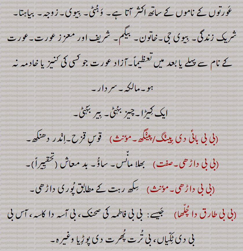   بیبا ,بِیبا, بِیبارانہ, بِیبو, بِیبڑیاں, بی بی,بِیبی,بی بی بائی دی پِینٛگ ,بی بی داڑھی, بی بی طارق دا چُلّھا, بی بی فاطمہ کی صحنک, بی آسہ دا کاسہ, آس بی بی دی ٹِکّیاں, بی تُرت پُھرت دی پوڑِیا,,beeba,ਬੀਬਾ ,ਬੀਬਾੱ , beebba, biba, bibba,beebi,ਬੀਬੀ , 