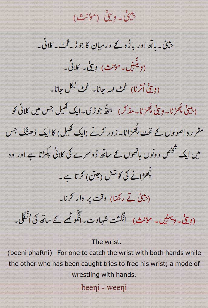    بِینی,وِینی,بینی,وینی,ویننیں,کلائی,وینی اترنا,بینی پھڑنا,وینی پھڑنا, کھیل,بینی تے رکھنا,ویہنیں, The wrist,beeni phaRni, وینی, بینی ,  bini,beeni, ਵੀਣੀ,wini ,weeni ,  ਬੀਣੀ, بینی ,وینی,The nose of any thing;  beeni, 