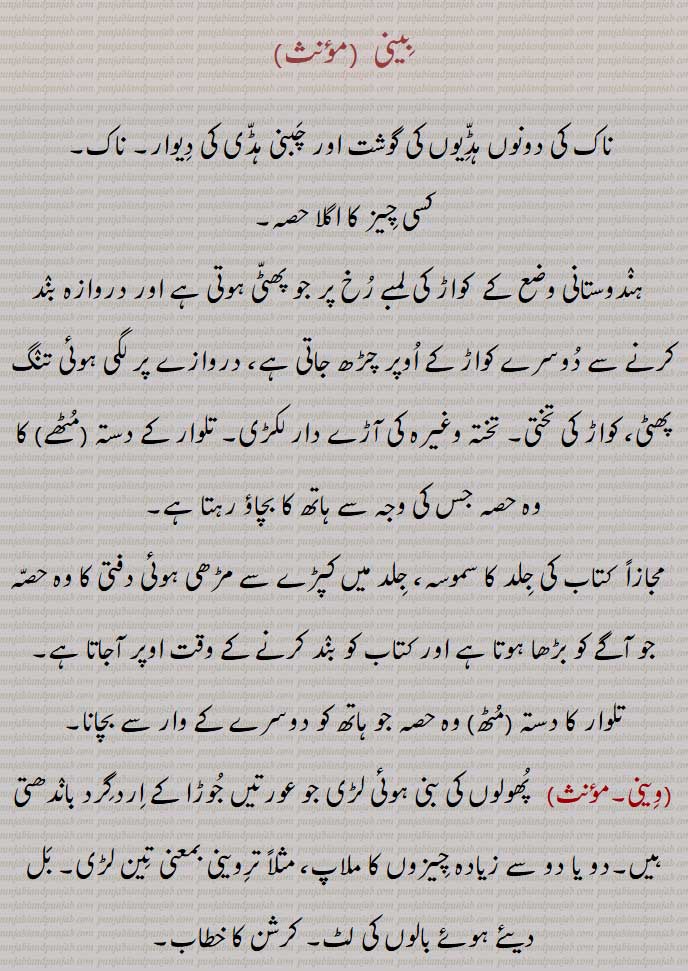    بِینی,وِینی,بینی,وینی,ویننیں,کلائی,وینی اترنا,بینی پھڑنا,وینی پھڑنا, کھیل,بینی تے رکھنا,ویہنیں, The wrist,beeni phaRni, وینی, بینی ,  bini,beeni, ਵੀਣੀ,wini ,weeni ,  ਬੀਣੀ, بینی ,وینی,The nose of any thing;  beeni, 