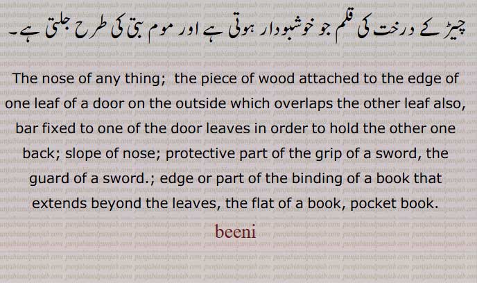    بِینی,وِینی,بینی,وینی,ویننیں,کلائی,وینی اترنا,بینی پھڑنا,وینی پھڑنا, کھیل,بینی تے رکھنا,ویہنیں, The wrist,beeni phaRni, وینی, بینی ,  bini,beeni, ਵੀਣੀ,wini ,weeni ,  ਬੀਣੀ, بینی ,وینی,The nose of any thing;  beeni, 