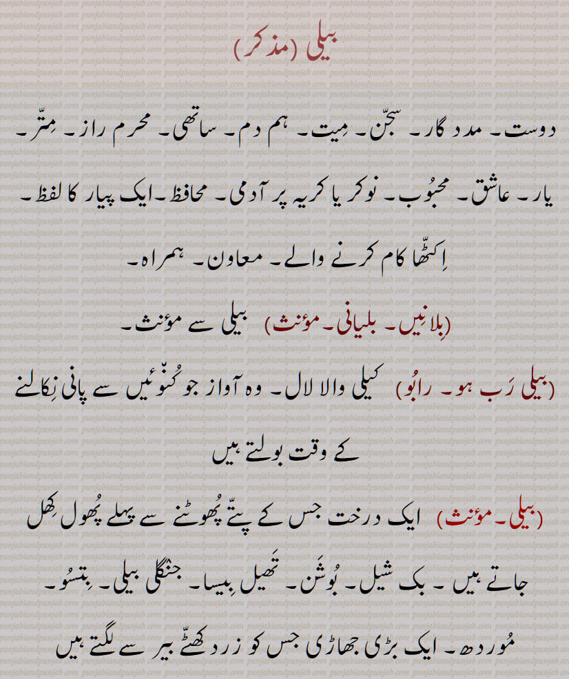 ویلی , بیلی,بیلی رب ہو,رابو,دوست,
, ਵਿਹਲ, vihl,vihal, ਬੇਲੀ, beli, belee,
بیلی ، بیلیانی ۔ بِلائِیں