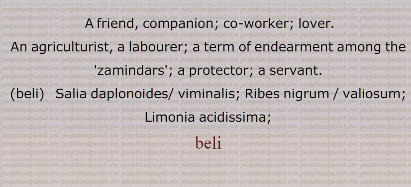 ویلی , بیلی,بیلی رب ہو,رابو,دوست,
, ਵਿਹਲ, vihl,vihal, ਬੇਲੀ, beli, belee,
بیلی ، بیلیانی ۔ بِلائِیں