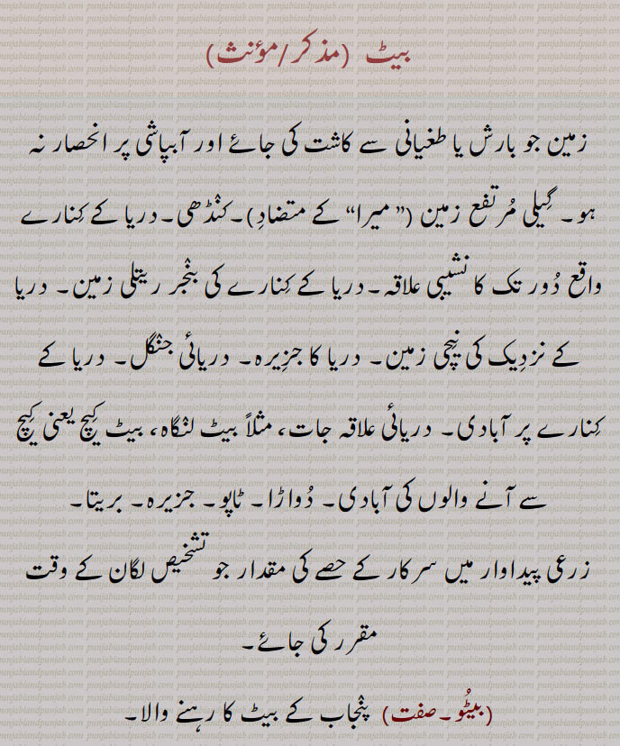 بیٹ , bet, ਬੇਟ,بیٹو,بیٹیں, دواڑا, 