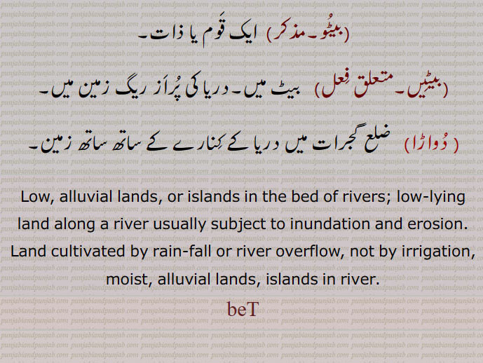 بیٹ , bet, ਬੇਟ,بیٹو,بیٹیں, دواڑا, 