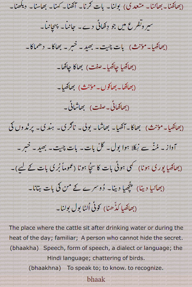 بھاک, بھاکھ,بھاک,بھاکا,بھاکل,بھاکل پانا/ پاوَنا,بھاکھ, واکھ, بھاکھا چاکھا, بھاکھنا,بولنا, بھاسنا, بھاکھیا چاکھیا, بھاکھا, بھاکھائی, بھاکھیا, بھاکھیا پوری ہونا ,بھاکھیا دینا,بھاکھیا کڈّھنا, bhaakha, Speech, bhaak, bhaakh, ਭਾਖਾ,ਭਾਖ, ਭਾਕ , bhaakhia,  ਭਾਖਿਆ, bhaakhna,  ਭਾਖਨਾ,
