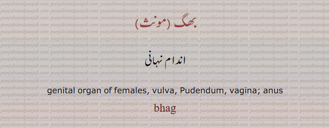 بھگ,اندام نہانی, ਭਗ, bhag, شرم گاہ
