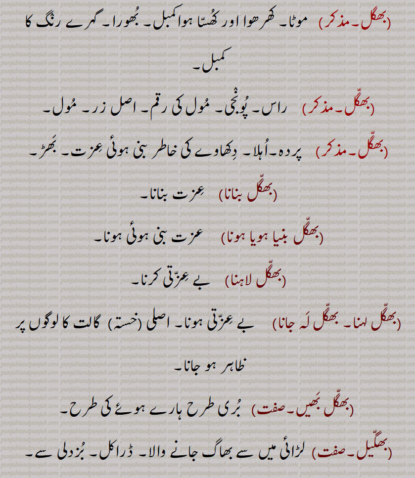 بھگل, بھگلی,بھگلی,بھگلیا, بھگل پن,بھگلا, بھگلی گہنا, بھگلاٹ,بھگل بنانا,بھگل بنیا ہویا ہونا,بھگل لاہنا,بھگل لہنا, بھگل لہ جانا,بھگل بھیں,بھگیل, bhagal,  ਭਗਲ, bhagali,  ਭਗਲੀ, bhagalia, ਭਗਲੀਆ, bhaggal,  ਭਗੱਲ, bhagal, bhaggal,