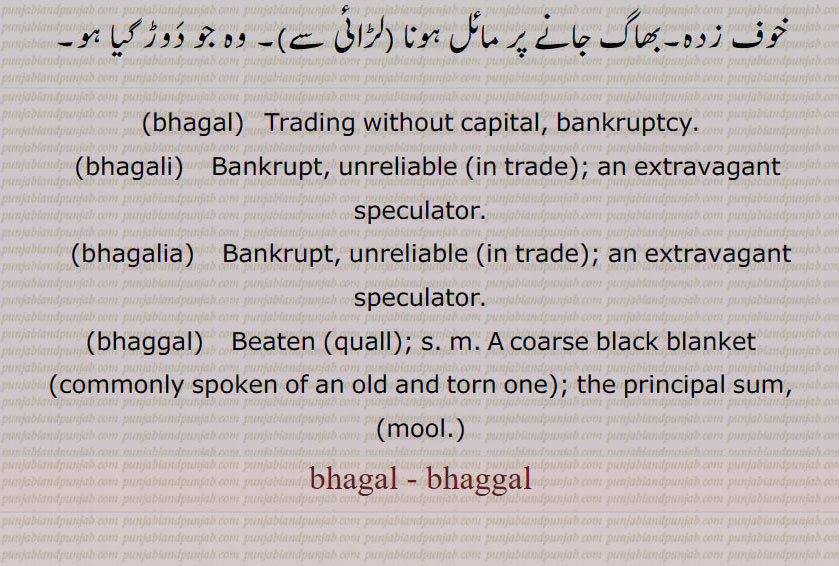 بھگل, بھگلی,بھگلی,بھگلیا, بھگل پن,بھگلا, بھگلی گہنا, بھگلاٹ,بھگل بنانا,بھگل بنیا ہویا ہونا,بھگل لاہنا,بھگل لہنا, بھگل لہ جانا,بھگل بھیں,بھگیل, bhagal,  ਭਗਲ, bhagali,  ਭਗਲੀ, bhagalia, ਭਗਲੀਆ, bhaggal,  ਭਗੱਲ, bhagal, bhaggal,