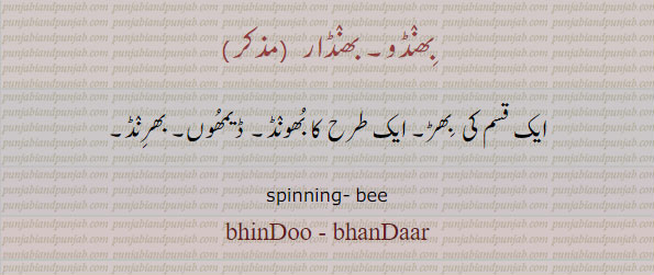 بھنڈار, بھنڈو, bhanDoo,