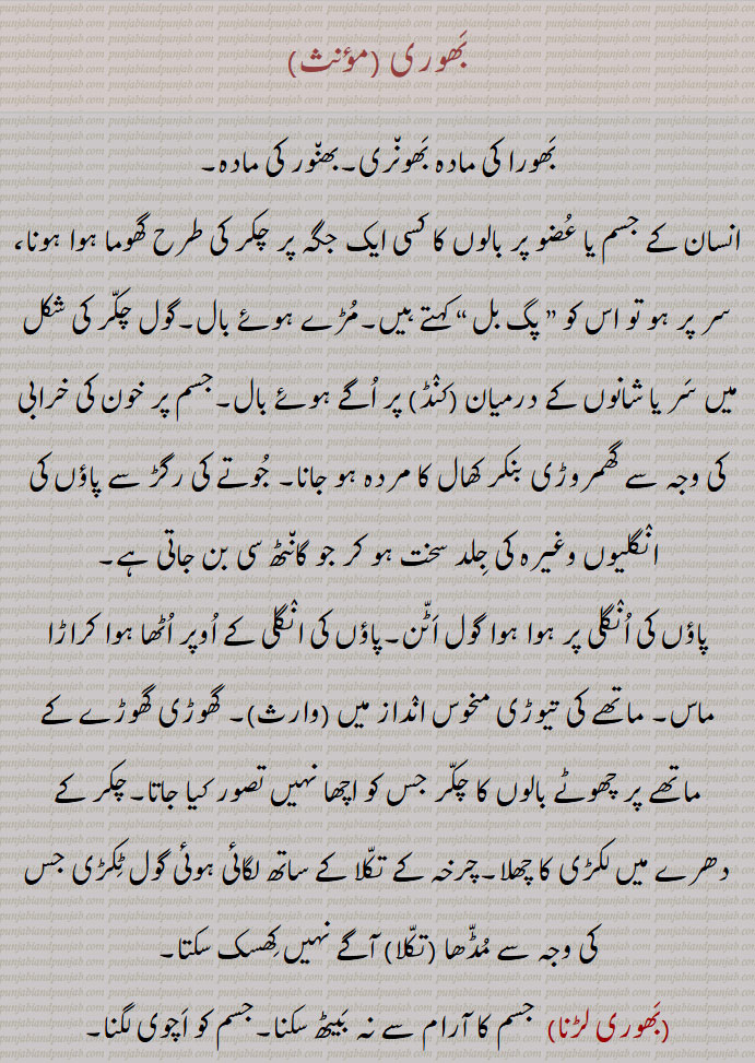   بھورا,ایک طرح کا کالے رنگ کا بھونڈ جو پھولوں پر مست رہتا ہے، بھنورا, ایک طرح کی شہد کی مکھی, آتما, روح،  کیونکہ وہ بھی آخر ساتھ چھوڑ دیتی ہے , کالا کتا,ہرجائی عاشق, خیالات، دلی ارادے ,بھورا, خوبصورت, مست, بے پرواہ,,بھورا بھورا,   حیران, ہکا بکا, جس کی عقل ٹھکانے نہ ہو,,Black bee, large flower-sucking black bee; A bee; the soul; a black dog; a halter.bhaora,bhaura,ਭੌਰਾبھور  ,بھور, فجر, سرگھی, پوہ پھٹالا,,بھور,بھور,بھورا, بھورا, بھنور, بھنورا,بھونر,, بھور کلی,بھؤر کلی,  عورتوں کے سر کا ایک زیور جو ماتھے پر ٹکا  کی جگہ پر بالوں سے بندھا ہوتا ہے,,پٹا,پھاہی کی کھسکویں گانٹھ والی رسی,ڈوری جس میں گلے میں ڈالنے کے لیے پٹا ہو اورجسے گھوڑوں یاجانوروں کو کھینچنے یا باندھنے کے لیے استعمال کرتے ہیں,بچھیرے یا کتوں کے گلے میں ڈالے ہوئے گلیویں کی رسی,پھندا, قانون شکنوں کو پھانسی دینے کا پھندا, پھانسی کے ذریعے موت,
سنگل کی ایک خاص گھنڈی (چھوٹے سے گول چکر کی طرح کی) جو چوپھیرے پھر سکتی ہے اور سنگل کو بٹ (بل) نہیں پڑنے دیتی,عورتوں کے کھیل کا لباس یا پہناوا جو گردن سے بندھ جاتا ہے لیکن پشت اور بازو  کھلے ہوتے ہیں,,بھور تاجی,  ایک قسم کا گھوڑا, دلدل,,بھور اڈنا, جان نکلنا, مر جانا,,بھور بھور, بھور بھورا, بھورا بھورا,,  پھندے دار یا پھندا نما (جیسے لباس),,A bee; flower-sucking black bee; the soul,bhaorkali, bhaoNrkali,   An ornament for ladies' forehead.,bhaor, bhaur, bhaurkali, bhauNrkali, ਭੌਰ,ਭੌਰ ਕੱਲੀ, ਭੌਰਕੱਲੀ، بھوری,بھورا کی مادہ بھونری,بھنور کی مادہ,,انسان کے جسم یا عضو پر بالوں کا کسی ایک جگہ پر چکر کی طرح گھوما ہوا ہونا، سر پر ہو تو اس کو ” پگ بل “ کہتے ہیں,مڑے ہوئے بال,گول چکر کی شکل میں سر یا شانوں کے درمیان   پر اگے ہوئے بال,جسم پر خون کی خرابی کی وجہ سے گھمروڑی بنکر کھال کا مردہ ہو جانا, جوتے کی رگڑ سے پاؤں کی انگلیوں وغیرہ کی جلد سخت ہو کر جو گانٹھ سی بن جاتی ہے,,پاؤں کی انگلی پر ہوا ہوا گول اٹن,پاؤں کی انگلی کے اوپر اٹھا ہوا کراڑا ماس, ماتھے کی تیوڑی منحوس انداز میں , گھوڑی گھوڑے کے ماتھے پر چھوٹے بالوں کا چکر جس کو اچھا نہیں تصور کیا جاتا,چکر کے دھرے میں لکڑی کا چھلا,چرخہ کے تکلا کے ساتھ لگائی ہوئی گول ٹکڑی جس کی وجہ سے مڈھا   آگے نہیں کھسک سکتا,,بھوری لڑنا,جسم کا آرام سے نہ بیٹھ سکنا,جسم کو اچوی لگنا,,بھوری والا,نحس,,A ring or curl of hair,   a corn on the toes; A wooden ring in the spindle of a wheel.bhaori, bhauri,ਭੌਰੀ,   Borla Maang Tikka
Black bee،   ਭੰਵਰਾ, bhaor, bhaur,ਭੌਰ, Borla Maang Tikka, ٹکا, 