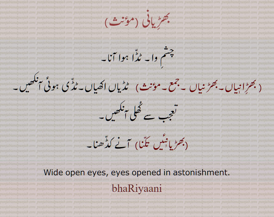  بھڑانیاں ,بھڑِانیاں  , بھڑنیاں,ٹڈیاں اکھیاں,تعجب سے کھلی آنکھیں, Wide open eyes, eyes opened in astonishment, haRiaaniyaaN, bhaRniyaan, ਭੜਿਾਨਿਆਂ, ਭੜਨਿਆਂ, bhaRianiyaan, bhaRiaaniyaan, bhaRiyaani, ਭੜਿਆਨੀ, بھڑیانی,  بھڑیانئیں  تکنا 