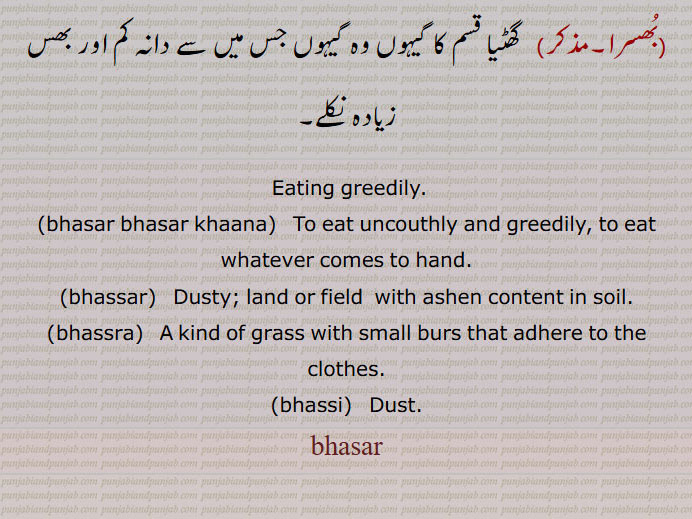    بھسر,بھسر بھسر کھانا,  بھکر بھکر کھانا, ہابڑے ہوئے , ہڑپ کر جانا,بھسر بھنانا,بھسر زمین,بھل ریت والی زمین, میرا زمین,بھسرا,بھسا,بھسی,بھسرا, بلی گھاس,بھسڑ,موٹا, احمق,بھسڑ پانا,خاک اڑانا,بھسڑا,بھسر,ا, گھٹیا قسم کا گیہوں,Eating greedily,bhasar bhasar khaana,bhassar,Dusty,hassra,   ਭੱਸਰਾ,A kind of grass,bhassi,   ਭੱਸੀ, Dust,بھسر ,bhasar, ਭਸਰ,