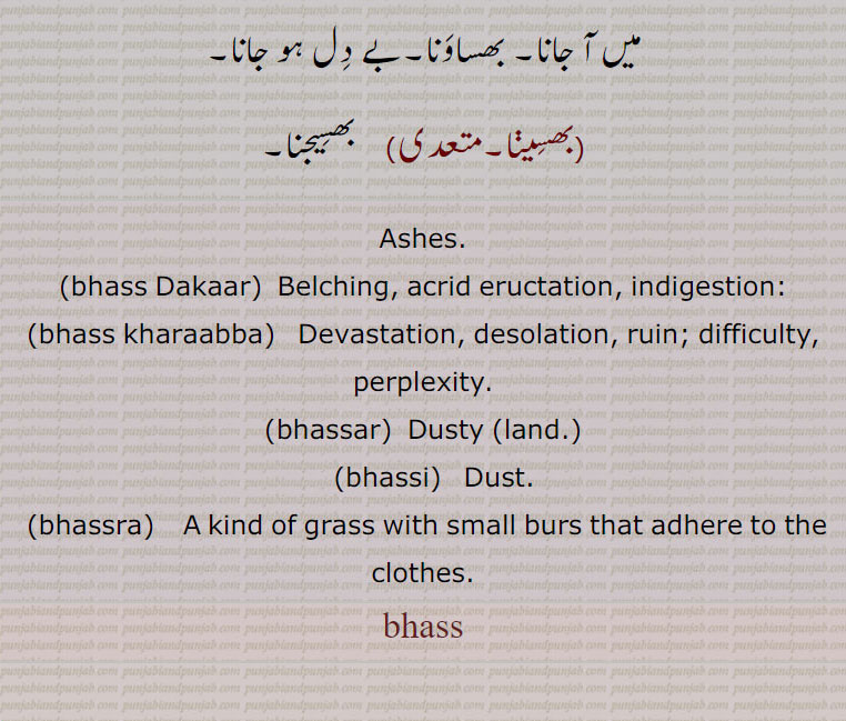    بھس,  بھس پانا,بھس بھسڑ,بھسڑ,بھس خرابا,بھس خراب کرنا,بھس ڈکار,بھس متی,بھس مڑے,بھس منت,بھس مندر,بھسانا,بھساونا,بھسو,بھسو,بھسو پننا,بھسوہا,بھسنا,بھسی,بھسیجنا,بھسینا, bhass ,ਭਸੱ ,bhass Dakaar,bhass kharaabba,bhassar, ਭਸੱਰ, bhassi,   ਭੱਸੀ,bhassra,   ਭੱਸਰਾ, 