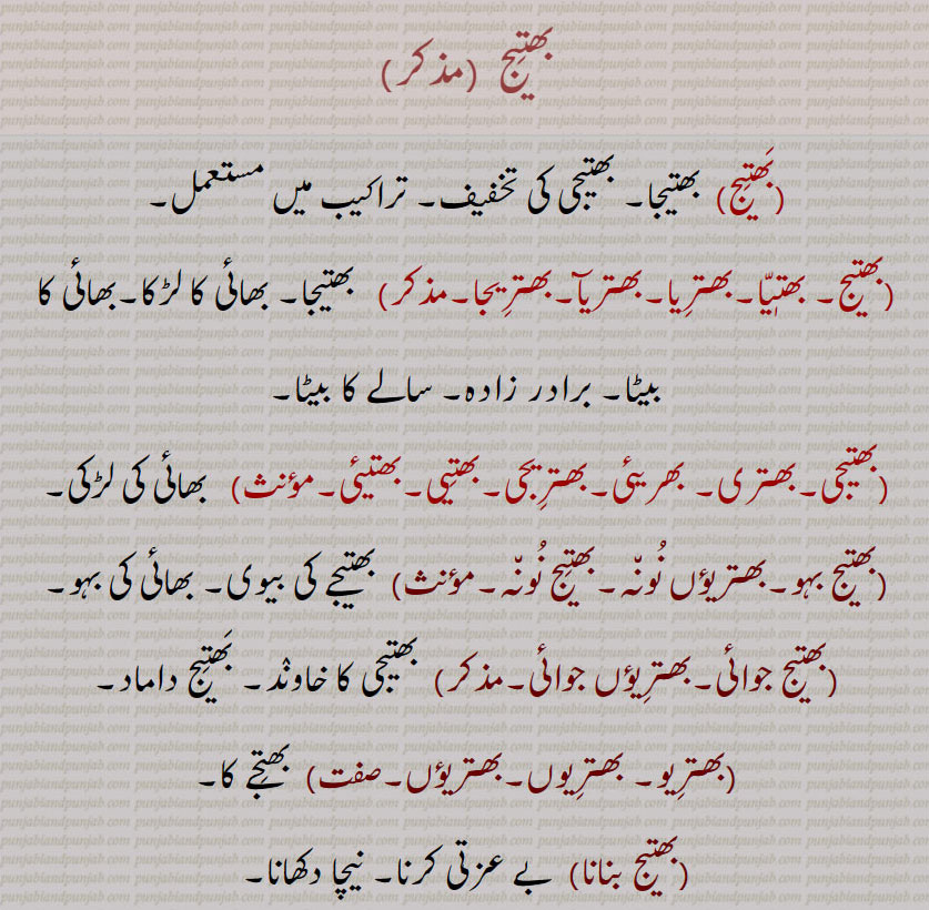   بھتیج,بھتیا, بھترِیا, بھتریآ, بھترِیجا,بھتیجا,بھتیجی,بھتری,  بھریئی, بھترِیجی, بھتیی, بھتیئی,بھتیج بہو, بھتریؤں نونہ, بھتیج نونہ,بھتیجے,بھتیج جوائی, بھترِیؤں جوائی, بھترِیو, بھترِیوں,بھتریؤں, بھتیج بنانا,,bhatreeji, bhatreeja, bhatriya, bhatiya,,bhateej, ਭਤੀਜ, bhateeja, ਭਤੀਜਾ,  bhateeya,   ਭਤੀਯਾ,   bhateeji,  ਭਤੀਜੀ,  bhateey, ਭਤੀਯ, bhatri, ਭਤਰੀ, bhatriji,  ਭਤਰੀਜੀ, bhatrija, ਭਤਰੀਜਾ, bhatriya,  ਭਤਰੀਯਾ, bhateea, ਭਤੀਆ, bhati,bhateeji, ਭਤੀਈ, ਭਤੀਜੀ,