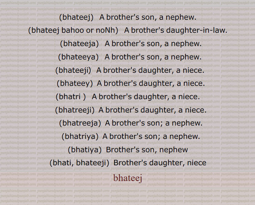   بھتیج,بھتیا, بھترِیا, بھتریآ, بھترِیجا,بھتیجا,بھتیجی,بھتری,  بھریئی, بھترِیجی, بھتیی, بھتیئی,بھتیج بہو, بھتریؤں نونہ, بھتیج نونہ,بھتیجے,بھتیج جوائی, بھترِیؤں جوائی, بھترِیو, بھترِیوں,بھتریؤں, بھتیج بنانا,,bhatreeji, bhatreeja, bhatriya, bhatiya,,bhateej, ਭਤੀਜ, bhateeja, ਭਤੀਜਾ,  bhateeya,   ਭਤੀਯਾ,   bhateeji,  ਭਤੀਜੀ,  bhateey, ਭਤੀਯ, bhatri, ਭਤਰੀ, bhatriji,  ਭਤਰੀਜੀ, bhatrija, ਭਤਰੀਜਾ, bhatriya,  ਭਤਰੀਯਾ, bhateea, ਭਤੀਆ, bhati,bhateeji, ਭਤੀਈ, ਭਤੀਜੀ,
