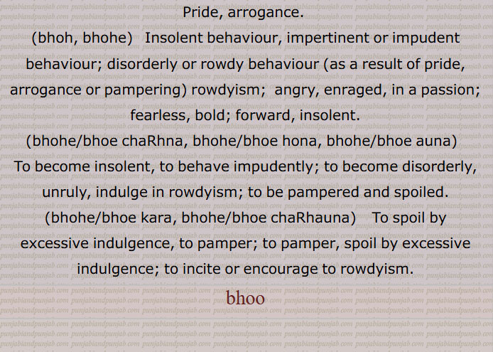   بھو , بھوت, تت   , پھونڈ, آکڑ, غرور, گھمنڈ, پھونڈ, پھوں پھاں,سور کی مادہ سورنی,ڈر, خوف,,بھولاہ دینا,    آکڑ توڑ دینا, بھوت اتارنا,
,بھو,بھوہ,,  بھوئے ہونا, غرور دکھانا, ,بھوہے, بھوئے,  بھہڑ,  ناراض,  غصے میں,  نڈر, دلیر,اڑیل, گستاخ, چیہے چڑھنا,خرابی,شور کرنا, نافرمان ہونا,. پھنڈیا , ہویا,آکڑیا ہویا,بھوتیا ہویا, مچڑ, غصے میں,بھوئے چاڑھنا,  بھوئے کرنا, لاڈ پیار کی وجہ سے بگاڑ دینا,   .(بھوئے چڑھنا)  لاڈ پیار کی وجہ سے بگڑ جانا, چامھلنا,آکڑن, بھوتن, مچڑن, مچھرن, سر تے چڑھنا, پھنڈ پھنڈ دسن, غصے وچ آون, رس رس بہون, آکھے نہ لگنا,,بھوئے کرنا,بھوہے ,چڑھاؤنا,   مچھرانا, چمھلانا,,بھوئے ہونا,  مچھرنا, چامھلنا,غرور دکھانا,  ,Pride, arrogance.  ,bhoh, bhohe,  ਭੂਹੇ , ਭੂਹ ,Insolent behaviour, impertinent or impudent behaviour; disorderly or rowdy behaviour (as a result of pride, arrogance or pampering) rowdyism;  angry, enraged, in a passion; fearless, bold; forward, insolent. ,bhohe/bhoe chaRhna, bhohe،bhoe hona, bhohe،bhoe auna,  ਭੂਹ ਚਾੜ੍ਹਨੀ , ਭੂਹੇ ਹੋਣਾ , ਭੂਹੇ ਚੜ੍ਹਨਾ, To become insolent, to behave impudently، to become disorderly, unruly, indulge in rowdyism; to be pampered and spoiled. ,bhohe/bhoe kara, bhohe/bhoe chaRhauna,  ਭੂਹੇ ਕਰਨਾ , ਭੂਹੇ ਚੜ੍ਹਾਉਣਾ, To spoil by excessive indulgence, to pamper; to pamper, spoil by excessive indulgence; to incite or encourage to rowdyism. ਭੂਹ  بھوہ,bhoo , bhoe , bhohe , bhue, ਭੂਏ , 