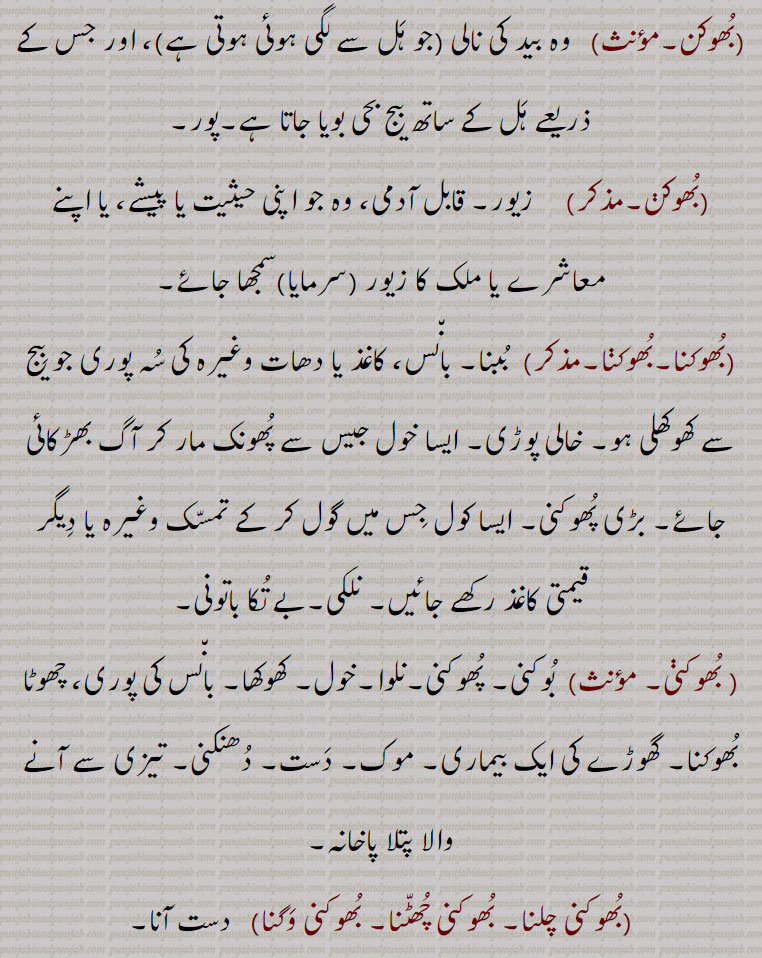    بھوک ,بھوکاں,بھوکٹ,بھوکر,بھوکل,بھوکلی,بھوکن,بھوکنا, بھوکنی,بھوکنی چلنا, بھوکنی چھٹنا, بھوکنی وگنا,, bhookni chaini vagni, bhookan, bhooknna,,  بھوک ,bhook ,ਭੂਕ ,