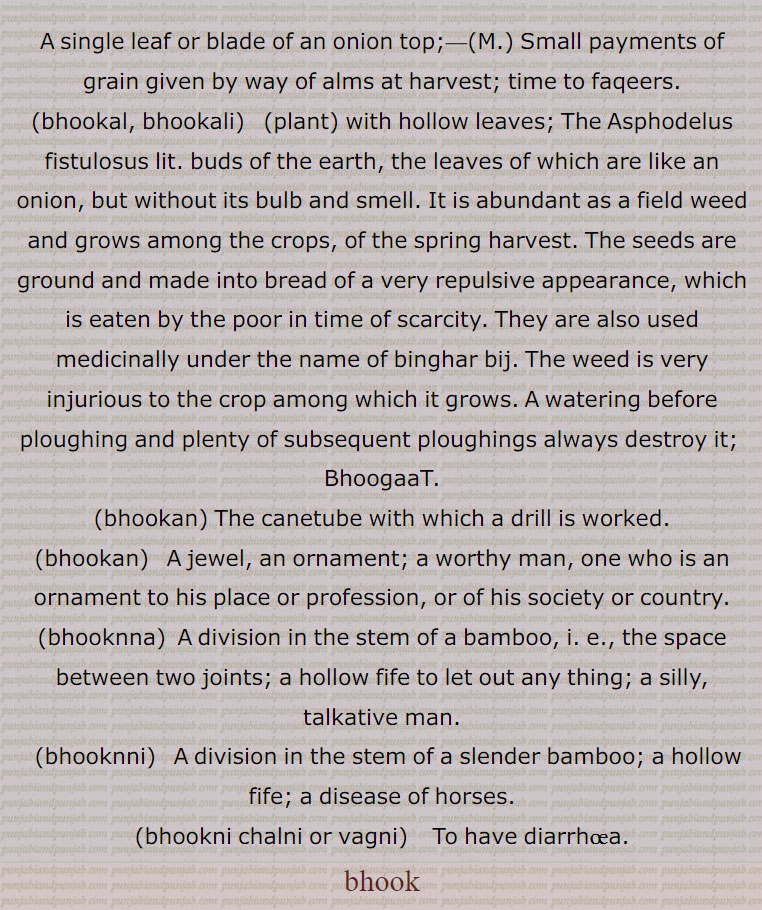    بھوک ,بھوکاں,بھوکٹ,بھوکر,بھوکل,بھوکلی,بھوکن,بھوکنا, بھوکنی,بھوکنی چلنا, بھوکنی چھٹنا, بھوکنی وگنا,, bhookni chaini vagni, bhookan, bhooknna,,  بھوک ,bhook ,ਭੂਕ ,