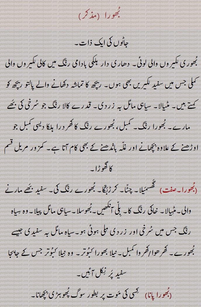 bhoor ,ਭੂਰ، بھور, 
 لکیروں والی کملی جس میں سفید لکیریں بھی ہوں, ریچھ کا تماشہ دکھانے والے پالتو ریچھ کو کہتے ہیں, مٹیالا, سیاہی مائل بہ زردی, قدرے کالا رنٛگ جو سُرخی کی بَھے مارے, بُھورا رنٛگ, کمبل، بُھورے رنٛگ کا کھردرا ہلکا دیسی کمبل جو اوڑھنے کے علاوہ بِچھانے اور غلّہ بانٛدھنے کے بھی کام آتا ہے, کمزور مریل قسم کا گھوڑا,بُھورا,  گَھسمَیلا, چٹّا, کرڑبَگّا, بُھورے رنٛگ کی, سفید بَھے مارنے والی,مٹِیالا, خاکی رنٛگ کا, بِلّی آنکھیں,بُھوسلا,سیاہی مائل پیلا,وہ سِیاہ رنٛگ جس میں سُرخی اور زردی مِلی ہوئی ہو,سیاہ مائل بہ سفیدی جیسے بُھورے, کھرھوا/کھروا کمبل,نیلا بھورا کبُوتر, وہ نِیلا کبُوتر جس کے جابجا سفید پَر نِکل آئِیں,بُھورا پانا,   کِسی کی مَوت پر بطور سوگ پُھوہڑی بِچھانا,بُھورا گھتّنا,  افسوس میں بَیٹھنے کے لیے کمبل, دری وغیرہ بِچھانا, بُھورا ریچھ,   ریچھ کی ایک قسم جو مٹیالے رن٘گ کا ہوتا ہے , Urus arctos,,بُھورل,   گورے رنٛگ والا، بُھورا مجازاً محبوب,بُھورُو, بُھورے رنٛگ کا آدمی, ککّا بھورا,بھورا, بھولا, سادہ,بُھورا جوان,  ریچھ مداریوں کی اصطلاح,بُھورا لال, دھوپ میں جُھلسی ہوئی جلد جیسا رنٛگ,بُھووَل, بُھورے رنٛگ کا محبوب,bhoora jawaan, bhoora ;laal, bhoora reechh,