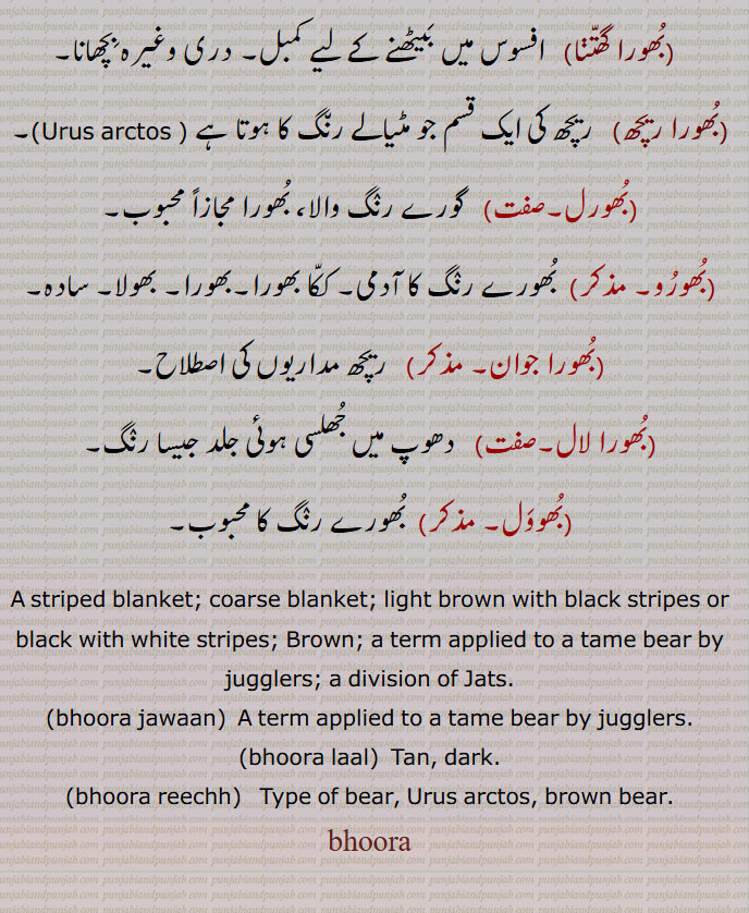 bhoor ,ਭੂਰ، بھور, 
 لکیروں والی کملی جس میں سفید لکیریں بھی ہوں, ریچھ کا تماشہ دکھانے والے پالتو ریچھ کو کہتے ہیں, مٹیالا, سیاہی مائل بہ زردی, قدرے کالا رنٛگ جو سُرخی کی بَھے مارے, بُھورا رنٛگ, کمبل، بُھورے رنٛگ کا کھردرا ہلکا دیسی کمبل جو اوڑھنے کے علاوہ بِچھانے اور غلّہ بانٛدھنے کے بھی کام آتا ہے, کمزور مریل قسم کا گھوڑا,بُھورا,  گَھسمَیلا, چٹّا, کرڑبَگّا, بُھورے رنٛگ کی, سفید بَھے مارنے والی,مٹِیالا, خاکی رنٛگ کا, بِلّی آنکھیں,بُھوسلا,سیاہی مائل پیلا,وہ سِیاہ رنٛگ جس میں سُرخی اور زردی مِلی ہوئی ہو,سیاہ مائل بہ سفیدی جیسے بُھورے, کھرھوا/کھروا کمبل,نیلا بھورا کبُوتر, وہ نِیلا کبُوتر جس کے جابجا سفید پَر نِکل آئِیں,بُھورا پانا,   کِسی کی مَوت پر بطور سوگ پُھوہڑی بِچھانا,بُھورا گھتّنا,  افسوس میں بَیٹھنے کے لیے کمبل, دری وغیرہ بِچھانا, بُھورا ریچھ,   ریچھ کی ایک قسم جو مٹیالے رن٘گ کا ہوتا ہے , Urus arctos,,بُھورل,   گورے رنٛگ والا، بُھورا مجازاً محبوب,بُھورُو, بُھورے رنٛگ کا آدمی, ککّا بھورا,بھورا, بھولا, سادہ,بُھورا جوان,  ریچھ مداریوں کی اصطلاح,بُھورا لال, دھوپ میں جُھلسی ہوئی جلد جیسا رنٛگ,بُھووَل, بُھورے رنٛگ کا محبوب,bhoora jawaan, bhoora ;laal, bhoora reechh,