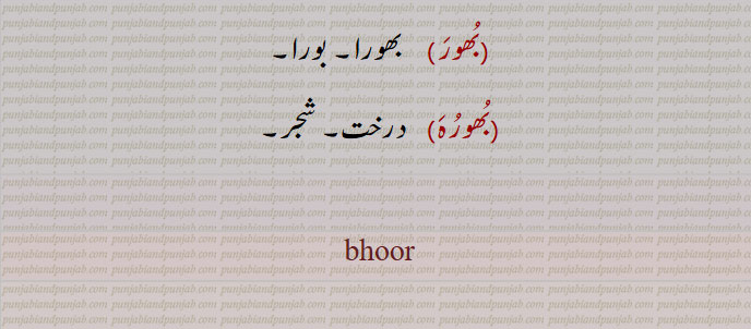 bhoor ,ਭੂਰ، بھور, 
  بُھور ,سویرا, صبح,سوجھلا, پوہ پھٹالا,سرگھی, پھک, زیادہ۔,بہت, بکثرت, افزوں, بیش, بڑا عظیم, ضروری, طاقتور, مضبوط, قوی,برہما کا لقب,شیو کا لقب, لابھ, بہت فائدے کا, نفع بخش, بہت منافع والا,بے حد, بکثرت, افراط سے, اکثر, عموماً, متواتر, ایک مقدس مخفی لفظ جو تین ویّا ہرتیوں میں سے ایک اور بھور بھواس سور میں سے پہلا ہے, برہمن پراتھنا میں اوم کے بعد پڑھتے ہیں,سات دنیاؤں میں سے آخری دنیا, زمین,سات زمینوں سے اوپر کی,دوزخ, بھورا, چورا, ریزہ, ٹکڑا,  گائے کی ایک قسم, ریت, بالو,بُھور, چشمہ, آبشار, سوتا, فوارہ, خیرات, بھیک,دان پُن,بُھور لوک,   زمین, خط استوا سے جنوب کے ملک,بُھور بانٹْنا    خیرات دینا, بھیک دینا, بہت سے غریبوں کو دان کرنا,بُھورا, روٹی وغیرہ کا ریزہ, بھورا,چورا, ریزہ, ٹکڑا,روٹی وغیرہ کا ریزہ,ہلکا دیسی کمبل,وہ سیاہ رن٘گ جس میں سرخی اور زردی ملی ہوئی ہو ، مٹیالا,بھور, بھولا, یورپ کے دیس کا رہنے والا، گورا، یورپین, بورا, کچی چینی کو پکا کر اور صاف کر کے بنائی ہوئی چینی, کچی چینی, کھان٘ڈ,ایک قسم کا کبوتر جس کی پیٹھ کالی اور اس پر سفید چتیاں ہوتی ہیں, کسی گاؤں کی وہ زمین جو گاؤں والوں کی رہائش سے دور ہو,زمین کی ایک قسم, بھوڑ,زراعت کے آلات میں ایک آلہ جس میں ایک خمدار کمانی میں معلق کڑیوں سے ایک لکڑی جس کو بھورا کہتے ہیں معلق ہوتی ہے,بُھورُہَ,  درخت, شجر,        bhoor, bhur, bhoora, bhura, bhoori, bhuri, bhurna, bhoorna, ਭੂਰ, ਭੂਰਾ ,ਭੂਰੀ, ਭੂਰਨਾ, 