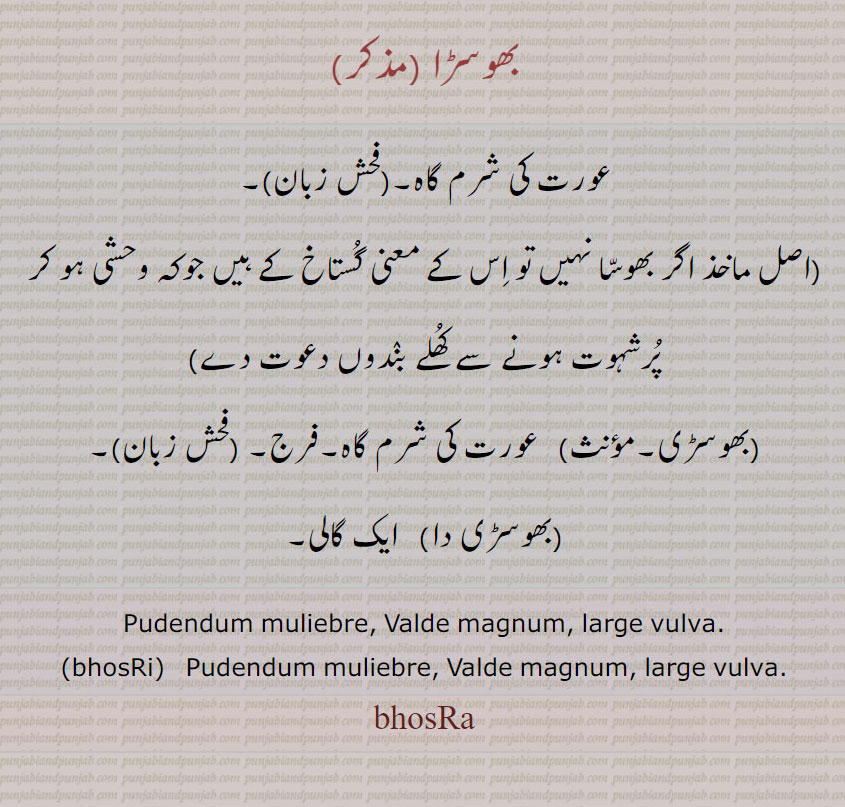 بھوسڑی ,بھوسڑا,bhosra , ਭੋਸਡ਼ਾ, ਭੋਸਡ਼ੀ, bhosri , gali, abuse,  ਭੋਸੜਾ, ਭੋਸੜੀ,