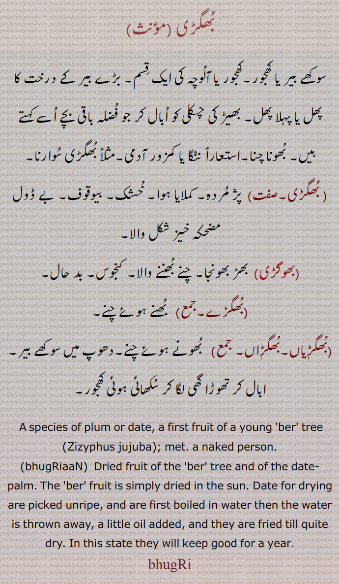  بھگڑی, خشک, بھوگڑی,  بھگڑے,بھگڑیاں,بھگڑاں, سوکھے بیر, سوکھی کھجور,Zizyphus jujuba, bhugri, bhogri, bhoogri ,ਭੁਗਡ਼ੀ, ਭੁਗੜੀ, bhugriaan, bhugrian,, 