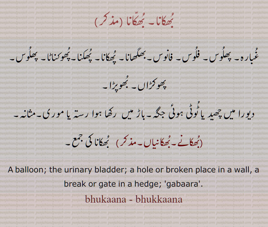 بھکانا, بھکانا ,غبارہ, پھلوس, فلوس,, فانوس,بھگھانا,, پھکانا, پھکنا,پھوکناٹا, پھلوس, پھوکڑاں, بھوپڑا, ٹوٹی ہوئی جگہ,موری,مثانہ,,بھکانے,بھکانیاں,  balloon,urinary bladder,hole or broken place,  gabaara,bhukaana, bhukaanna, ਭੁਕਾਨਾੱ, ਭੁਕਾਨਾ, بُھکانا, بُھکّانا,